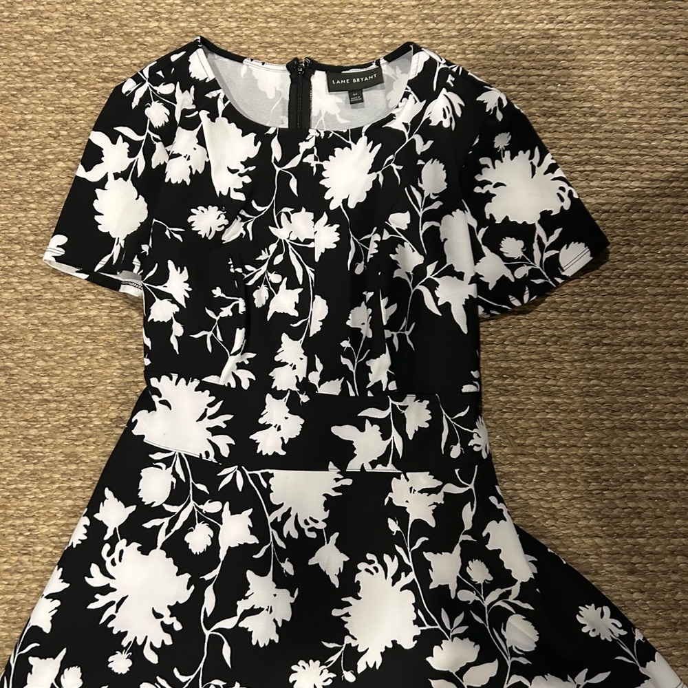 Women dress shirt lane Bryant black size 14